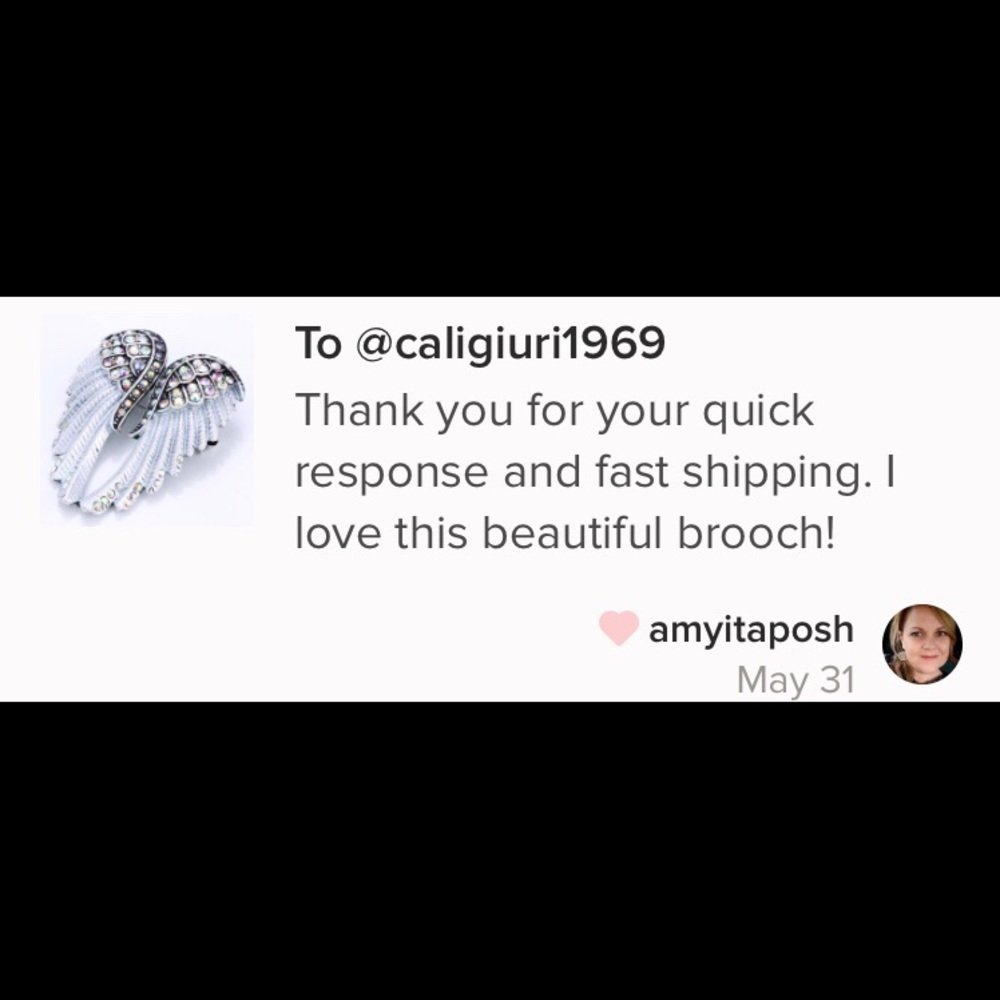 💜Host Pick💜New! Angel Wings Brooch - Picture 5 of 5